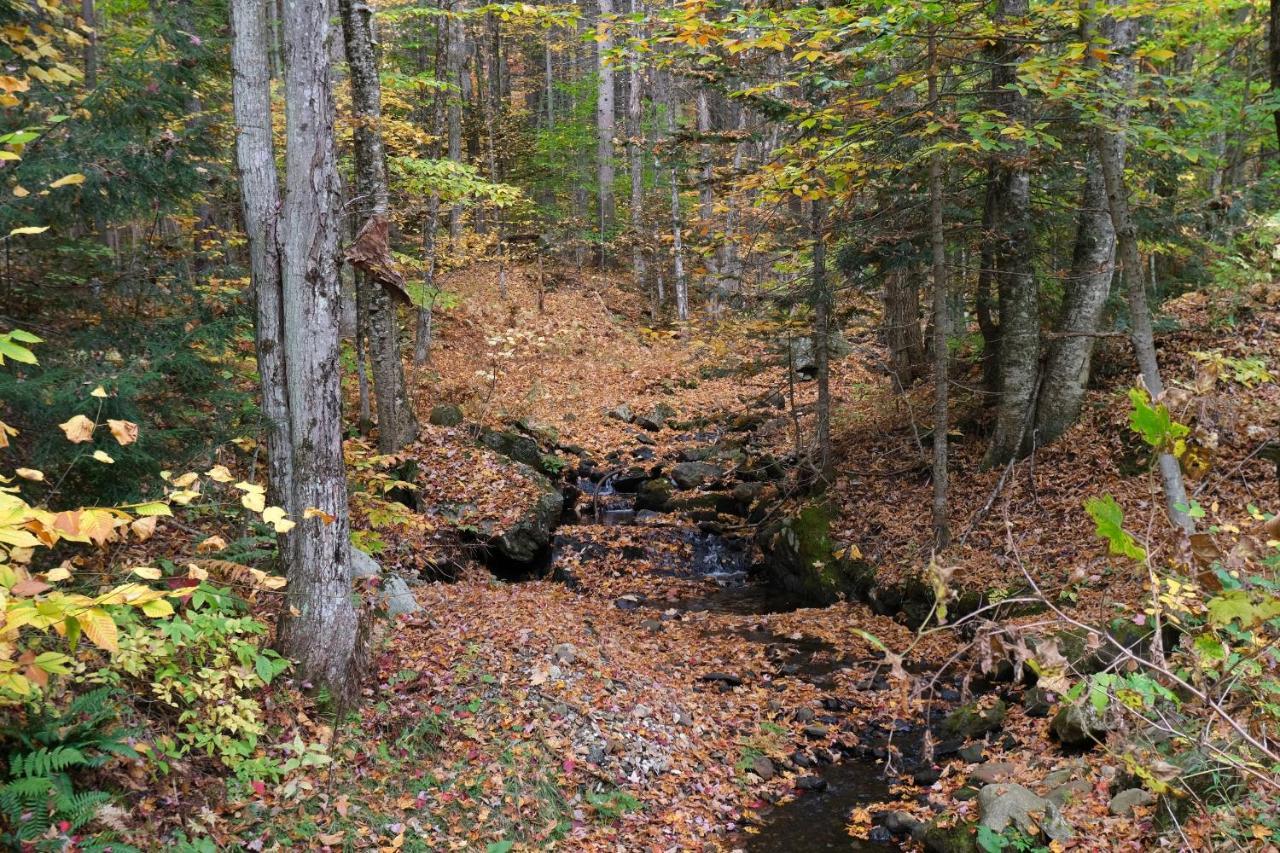 Ski In/Out Spruce Glen Townhomes On Great Eastern Trail Killington Esterno foto