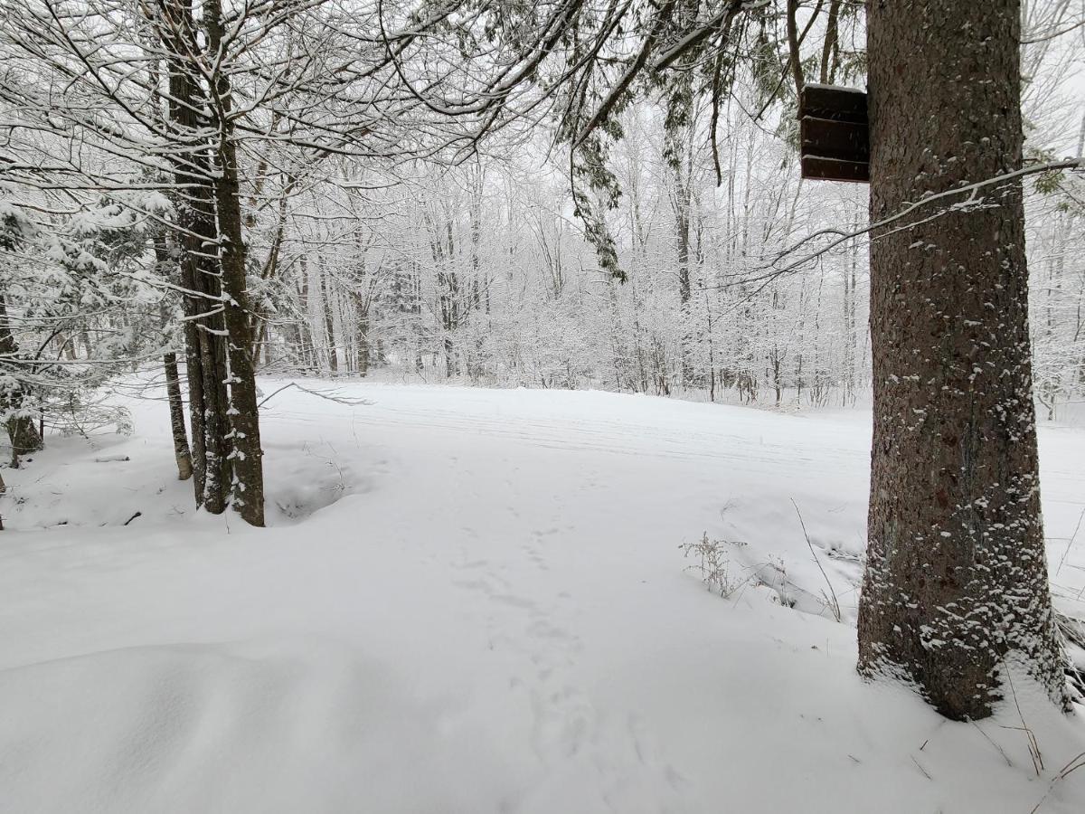Ski In/Out Spruce Glen Townhomes On Great Eastern Trail Killington Esterno foto